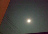 ファイル 3001-1.jpg