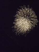 ファイル 3002-4.jpg