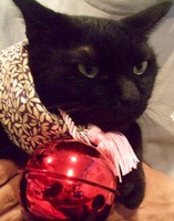 ファイル 3006-1.jpg