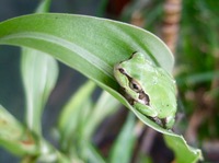 ファイル 3008-1.jpg