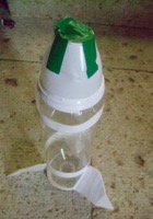 ファイル 3009-1.jpg