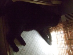 ファイル 3013-1.jpg