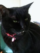 ファイル 3017-4.jpg