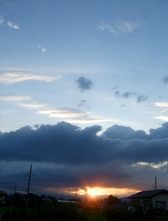 ファイル 3019-1.jpg