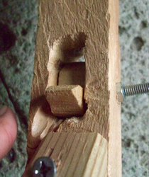 ファイル 3021-2.jpg