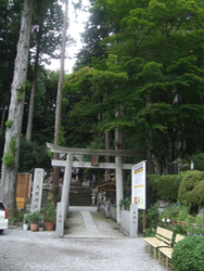 ファイル 3023-1.jpg