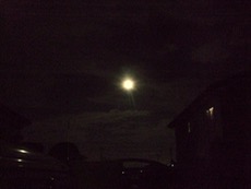 ファイル 3034-2.jpg