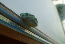 ファイル 3039-1.jpg