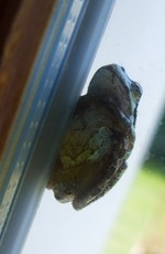 ファイル 3039-2.jpg