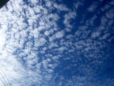 ファイル 3042-1.jpg