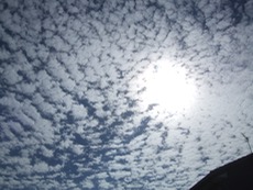 ファイル 3042-2.jpg