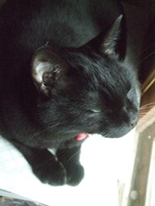 ファイル 3047-1.jpg