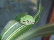 ファイル 3047-3.jpg