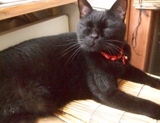 ファイル 3050-1.jpg