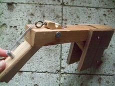 ファイル 3051-1.jpg