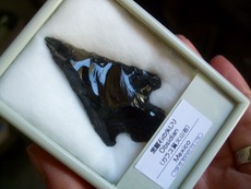 ファイル 3053-1.jpg