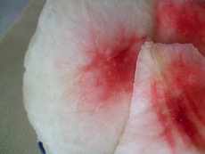 ファイル 3057-1.jpg