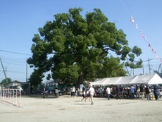 ファイル 3059-2.jpg