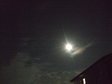 ファイル 3060-1.jpg