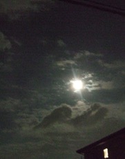 ファイル 3060-2.jpg