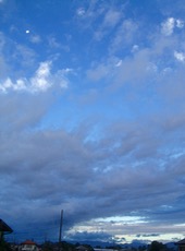 ファイル 3063-1.jpg