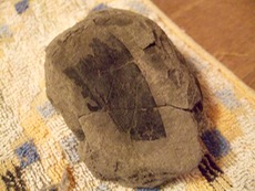 ファイル 3064-1.jpg