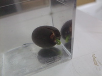 ファイル 307-1.jpg