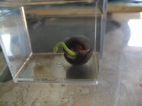 ファイル 307-2.jpg