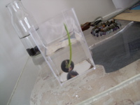 ファイル 307-3.jpg