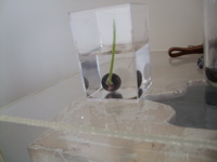 ファイル 307-4.jpg