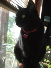 ファイル 3070-1.jpg