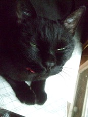 ファイル 3071-1.jpg