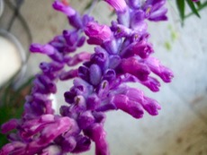 ファイル 3074-2.jpg