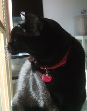 ファイル 3076-1.jpg