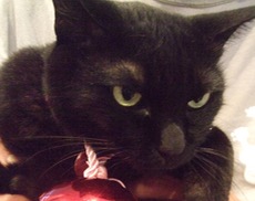 ファイル 3087-4.jpg