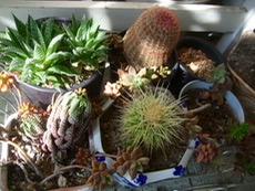 ファイル 3088-1.jpg