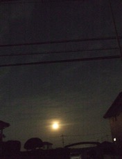 ファイル 3089-1.jpg