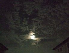 ファイル 3089-2.jpg