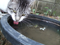 ファイル 309-2.jpg