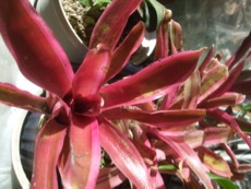 ファイル 3090-1.jpg