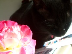 ファイル 3094-3.jpg