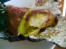 ファイル 3096-1.jpg