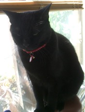 ファイル 3097-3.jpg