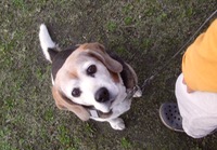 ファイル 3108-5.jpg