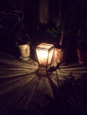 ファイル 3111-1.jpg