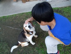 ファイル 3112-1.jpg