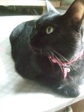 ファイル 3114-1.jpg