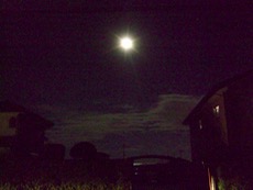 ファイル 3121-1.jpg