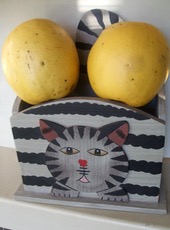 ファイル 3122-1.jpg