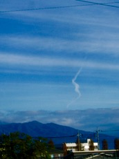 ファイル 3123-1.jpg